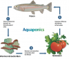 aquaponics-uitleg.png