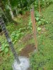 DSC02461_fence poles.JPG