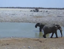 Screenshot 2022-09-10 at 15-01-52 Okaukuejo Resort, Wildlife Waterhole Live camera stream in t...png