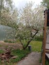 IMG_20250503_154412.jpg