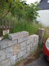 IMG_20250601_143210.jpg