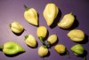 white bhut.jpg