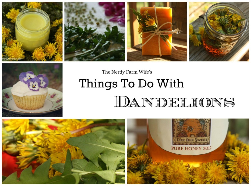 Things-to-do-with-dandelions-cover-1024x760.jpg